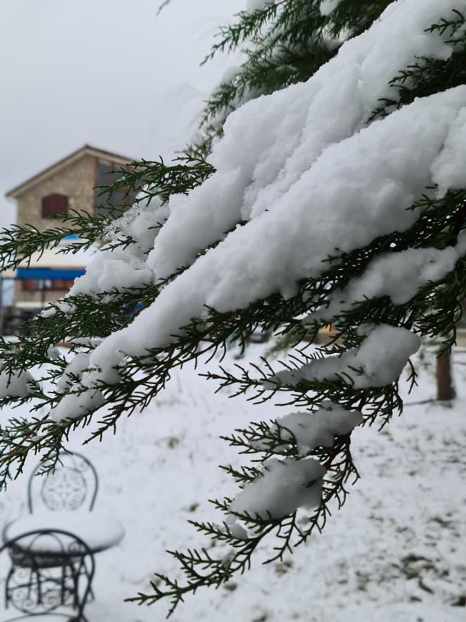 La Pommeraie D'Ifrane Ifrane  Exterior foto