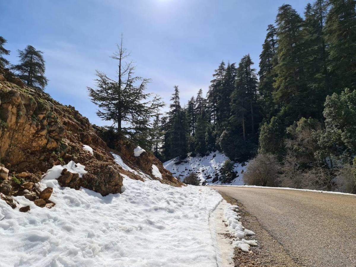 La Pommeraie D'Ifrane Ifrane  Exterior foto