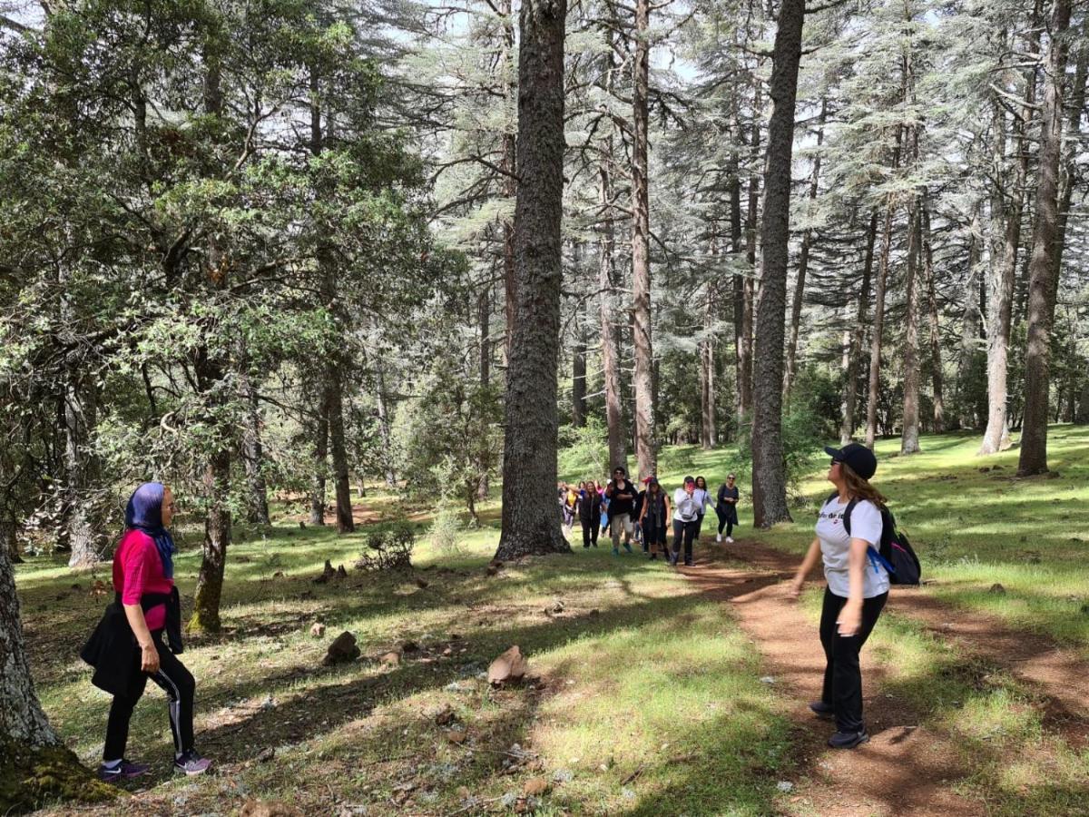 La Pommeraie D'Ifrane Ifrane  Exterior foto